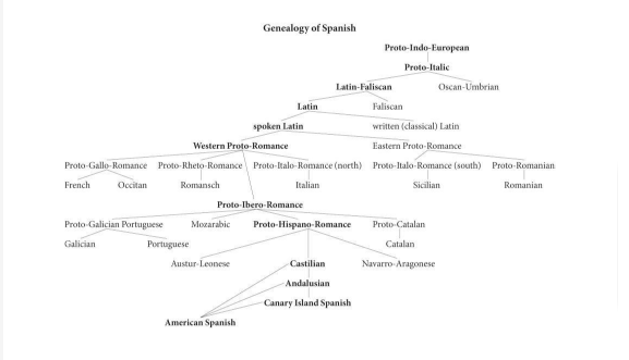 Roots of Spanish Language