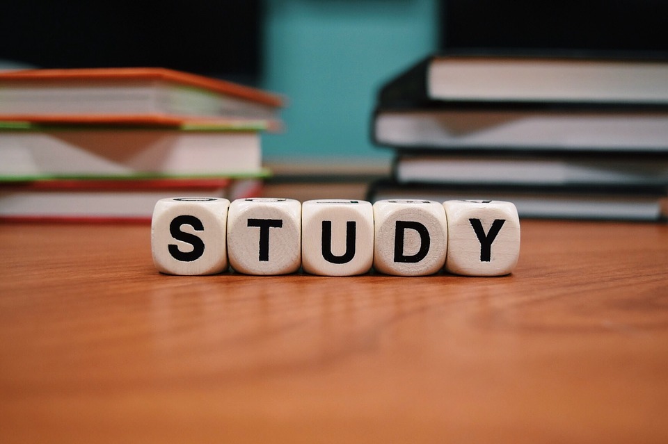 Study Begins