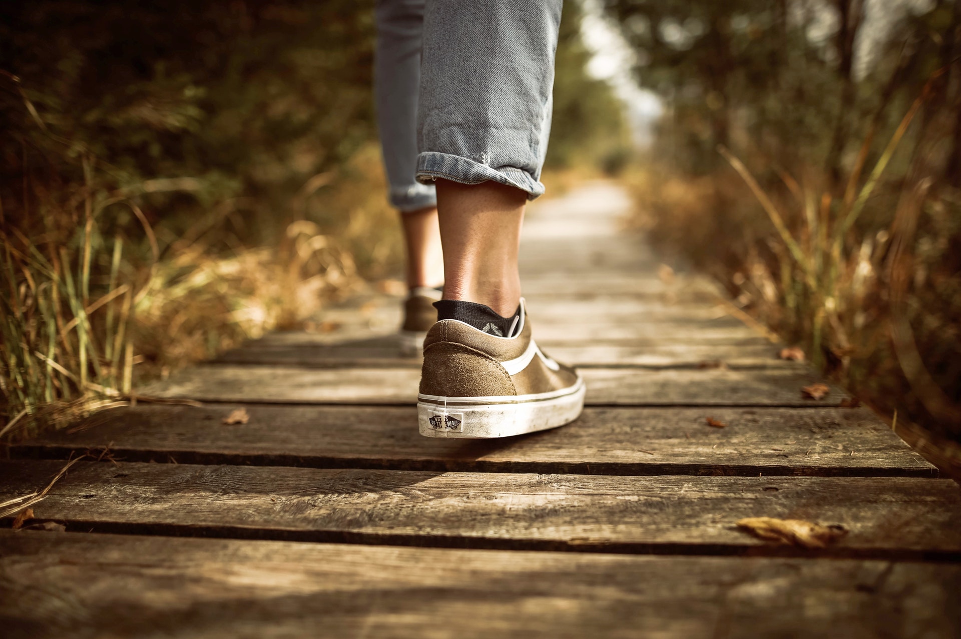 walking on a wooden path