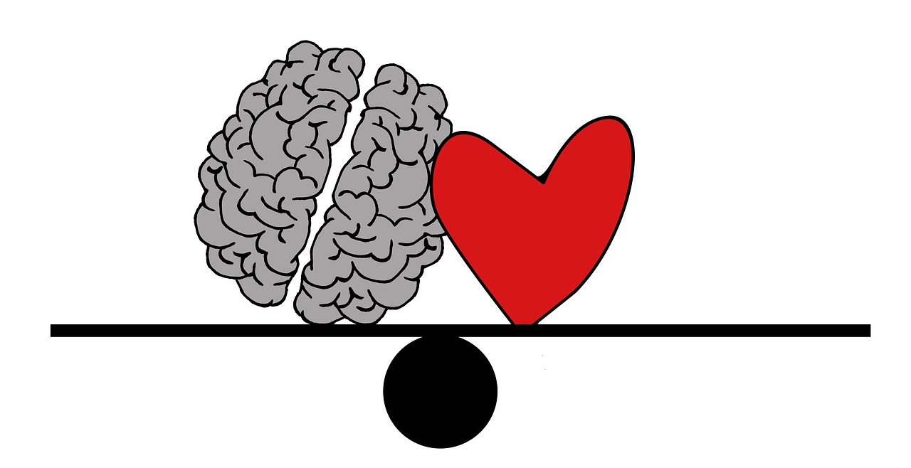 heart and brain connection