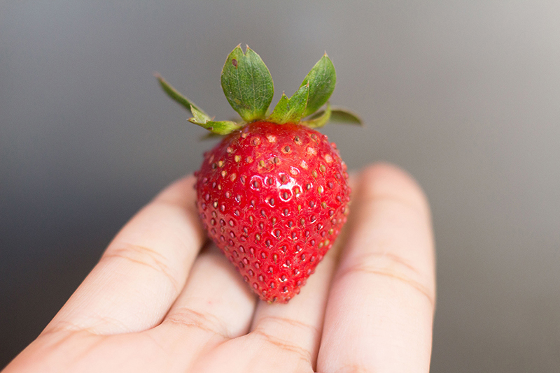 Strawberry-in-Hand-1