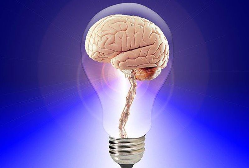 brain light bulb