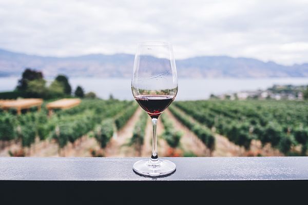 Ultimate Guide to Spanish Wine Vocabulary: Useful Words and Phrases